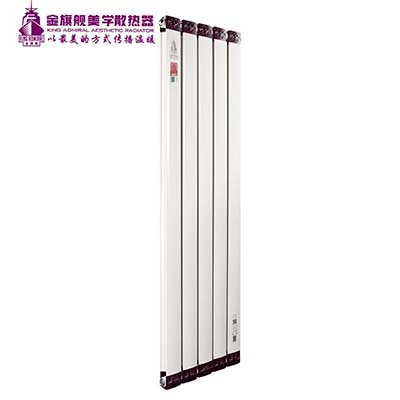 十大品牌銅鋁散熱器